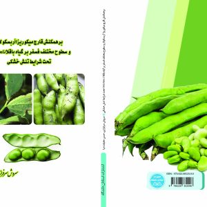 برهمکنش قارچ میکوریزآربسکولار و سطوح مختلف فسفر بر گیاه باقلا تحت شرایط تنش خشکی